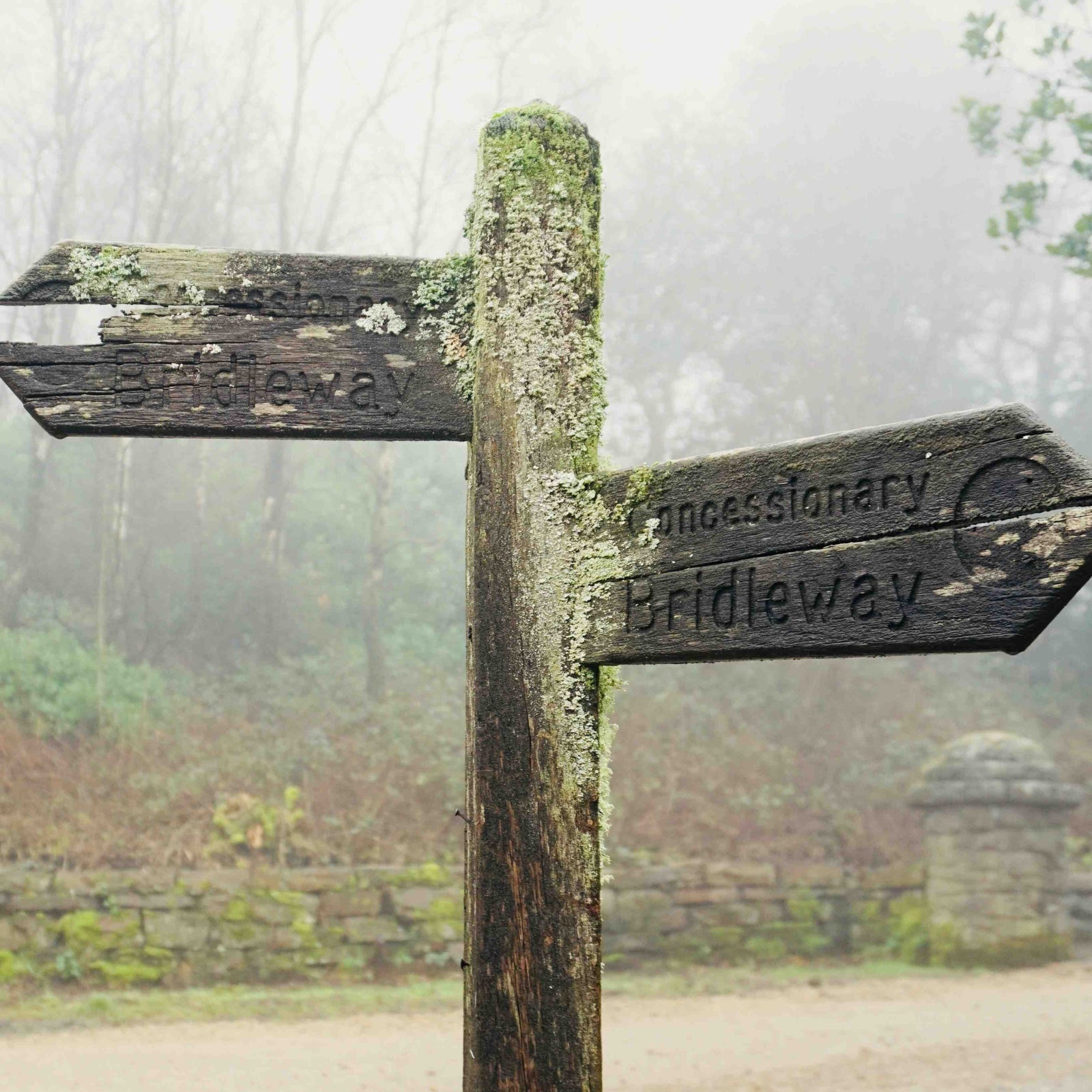 10 beautiful walking routes in Wales