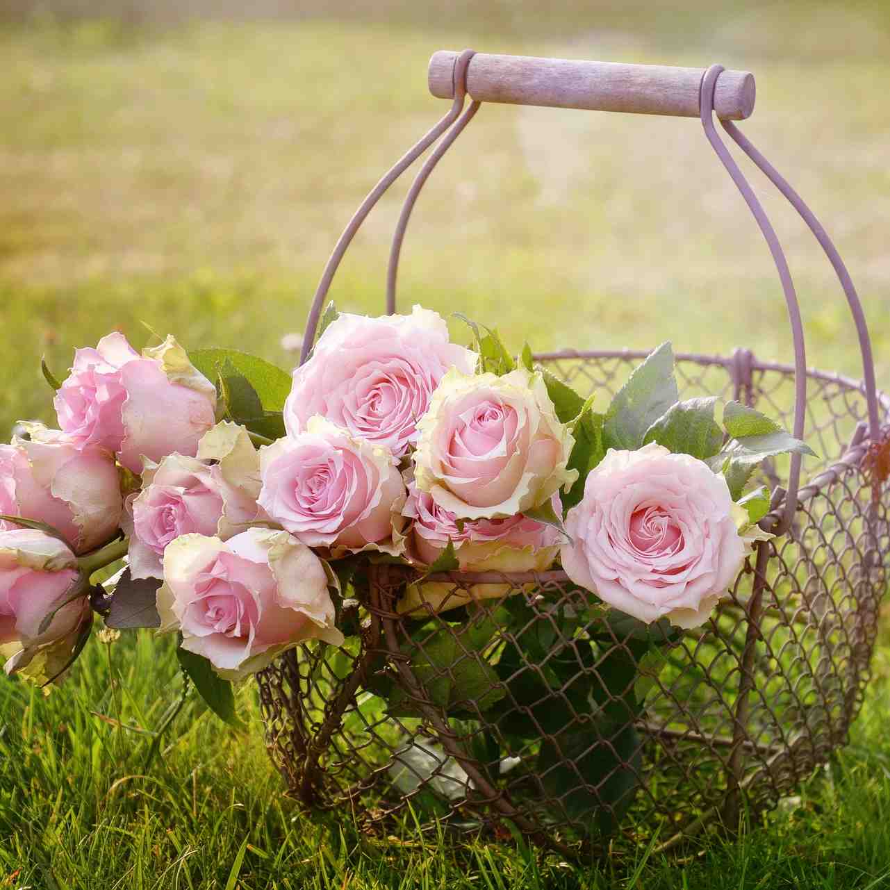 JUNE IN ENGLAND – FOLKLORE, FACTS AND THINGS TO DO
