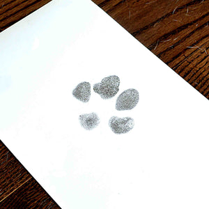 Animal and Pet Jewellery Impression Kit - GIFT WRAPPED INKLESS PAW PRINT AND HOOF PRINT IMPRESSION KIT
