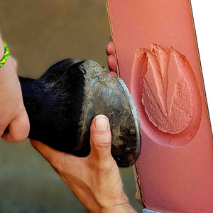 Take the perfect horse hoof print for your gold pet print necklace | Personalised Necklaces | Sophia Alexander Fingerprint Jewellery | Handmade in Suffolk UK