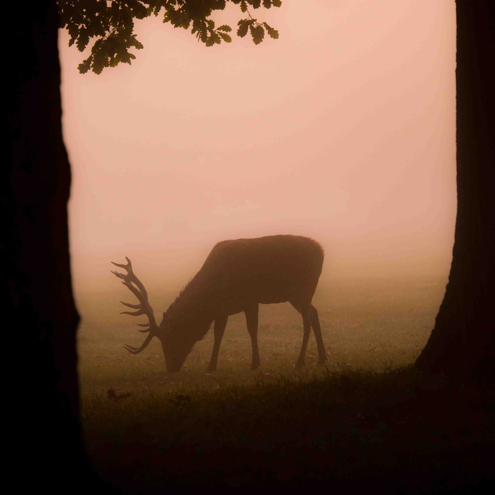 What is English Folklore?