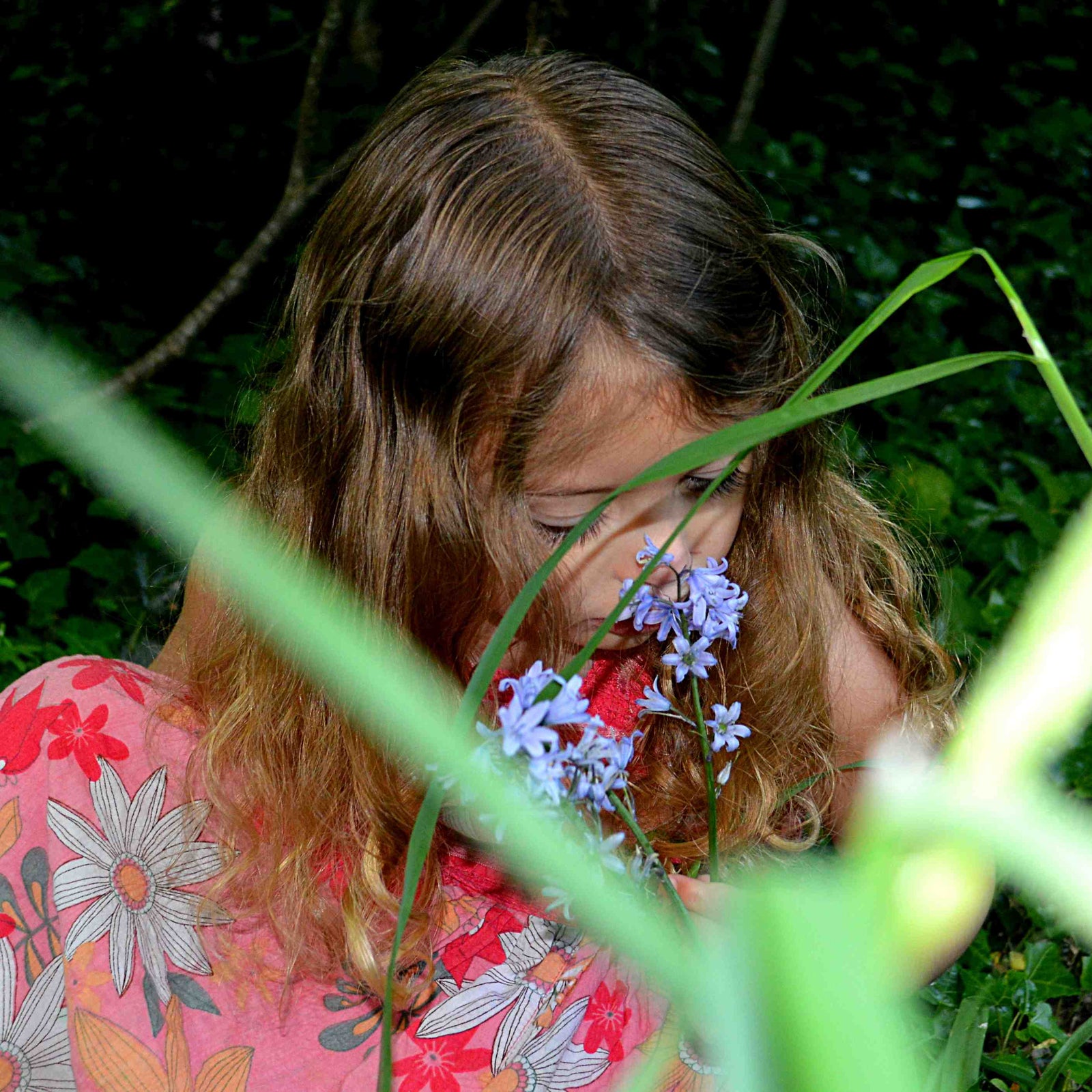 10 British wild flowers to look out for this year