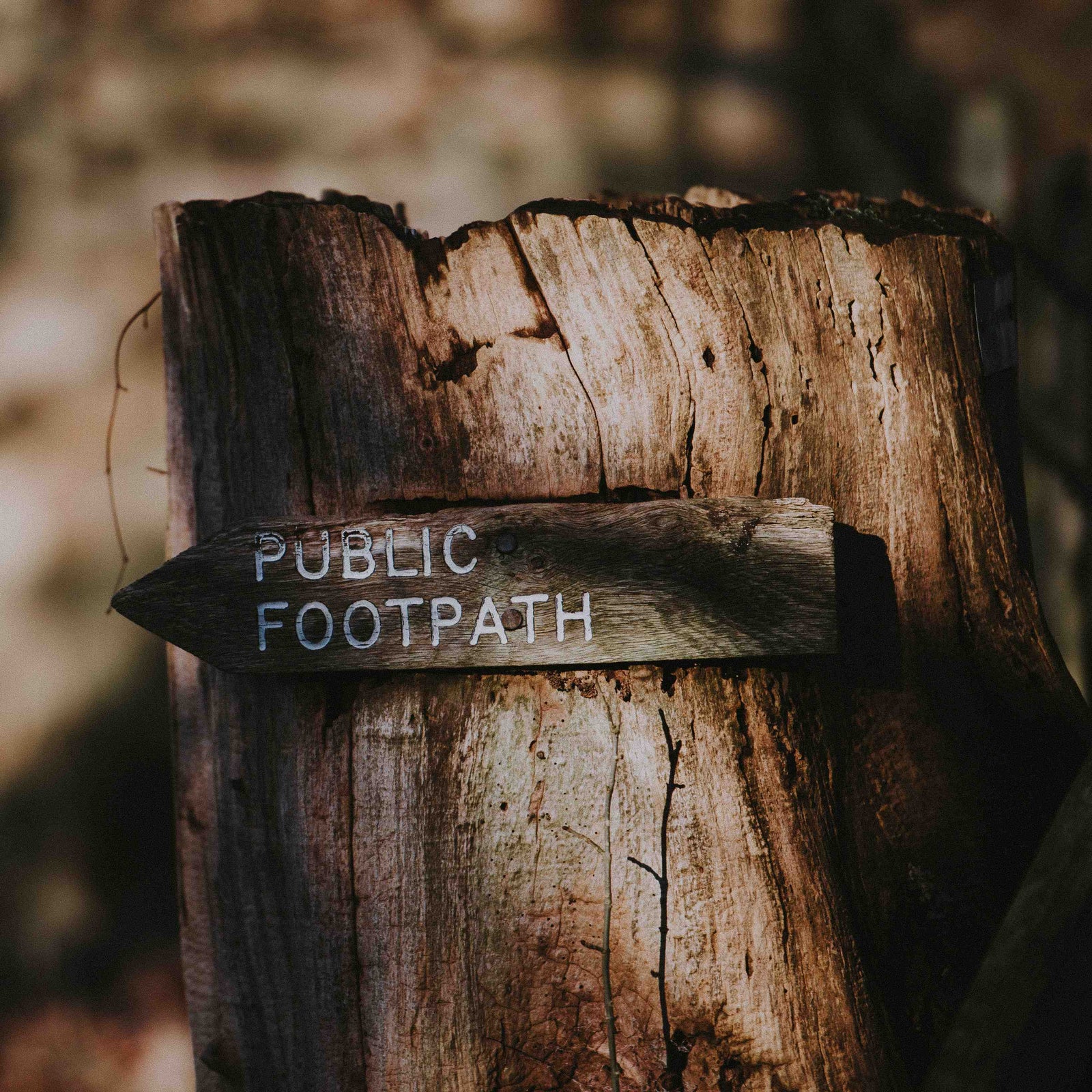 10 beautiful walking routes in the south of England