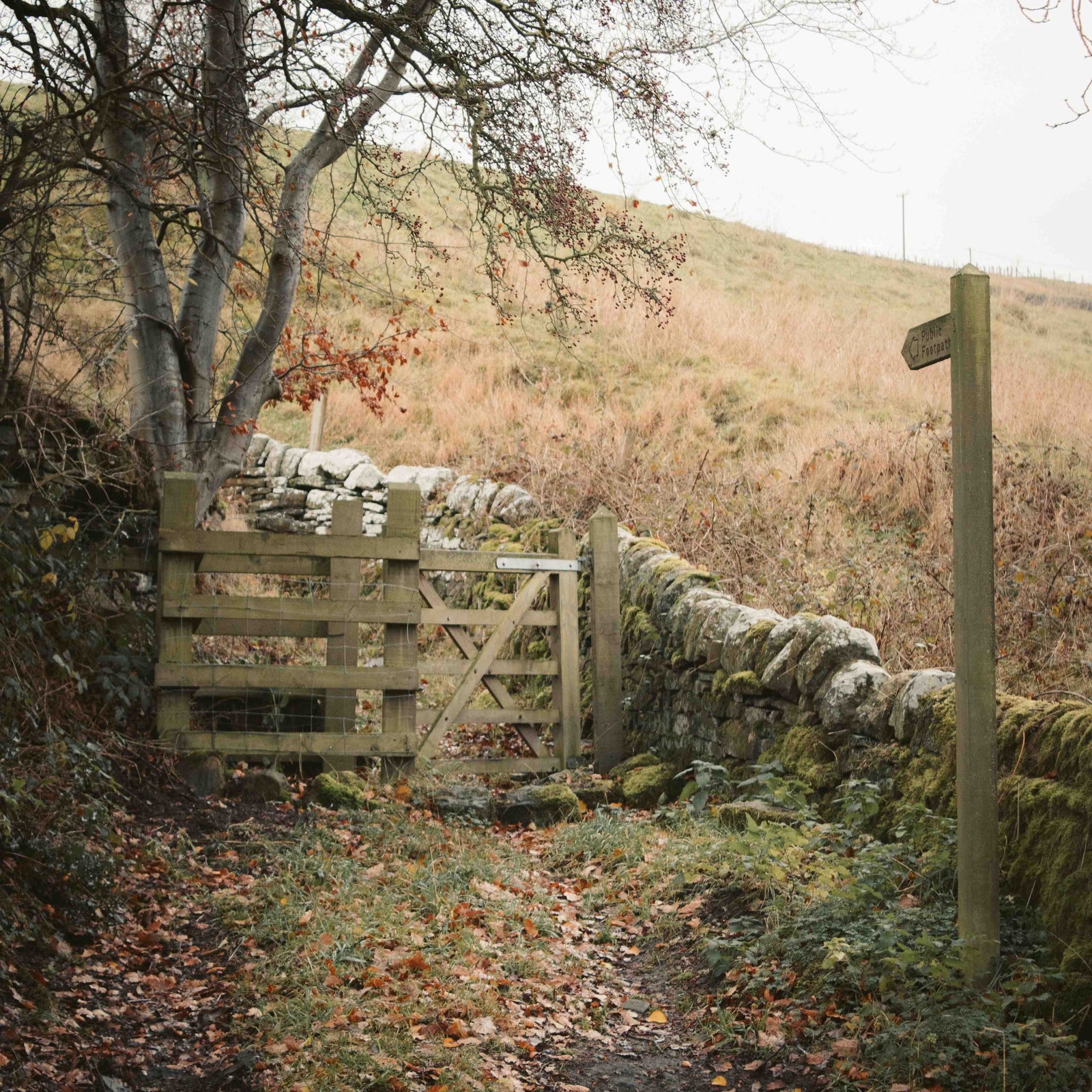 10 beautiful walking routes in Yorkshire
