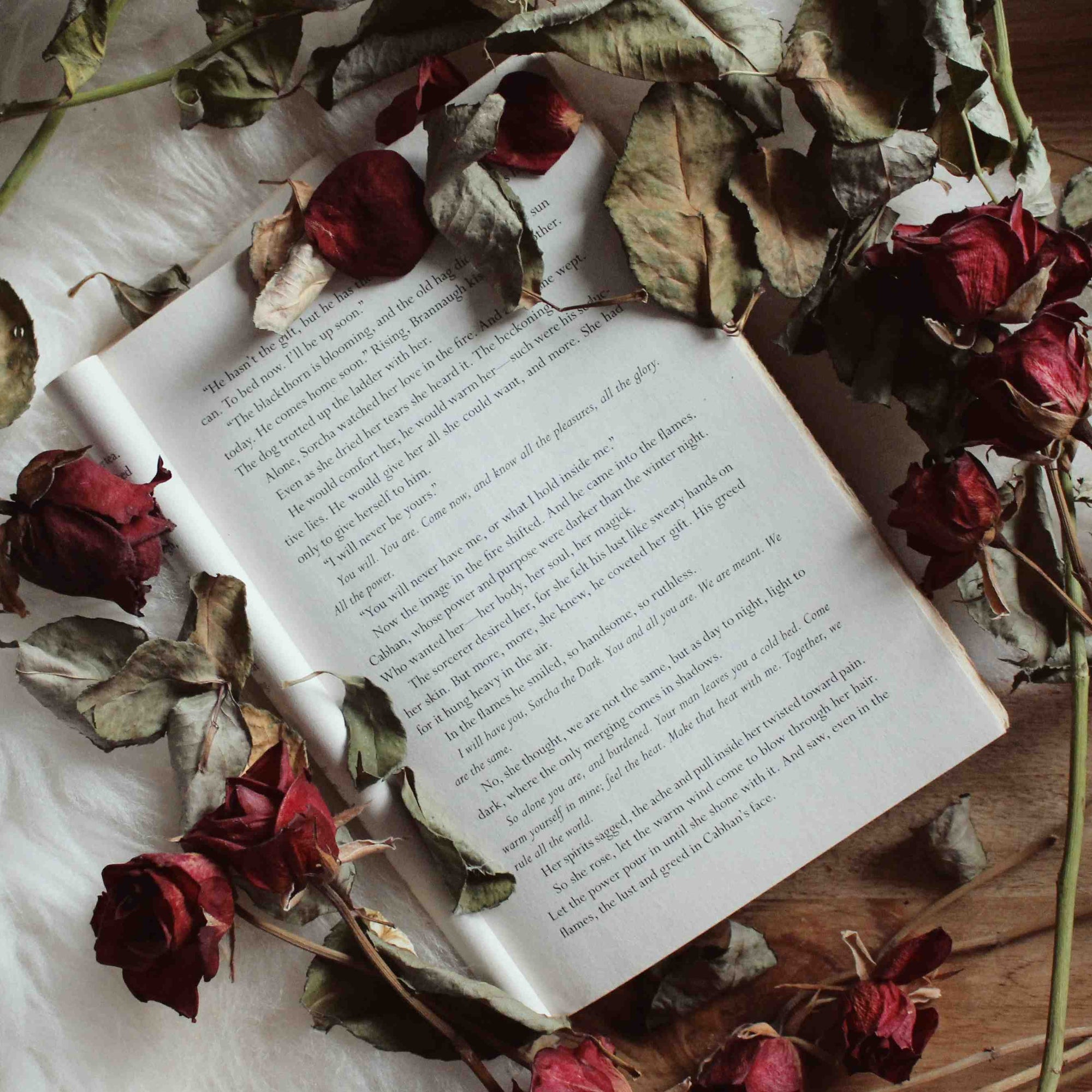 10 of the Best Love Poems Ever Written