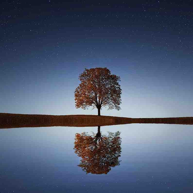 Fingerprint Family or Wedding Tree