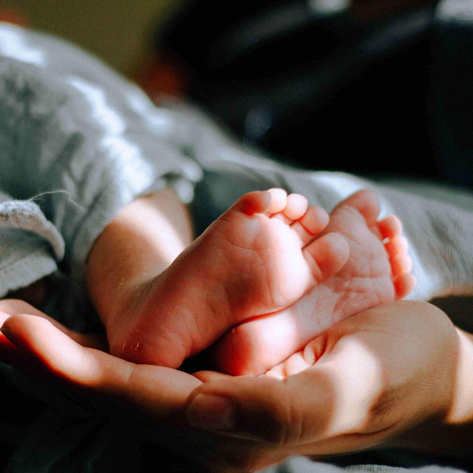 A newborn babies feet rest gently on his Mother's hand in a darkened room dappled with sunlight.  The light shines on the tiny feet in places.