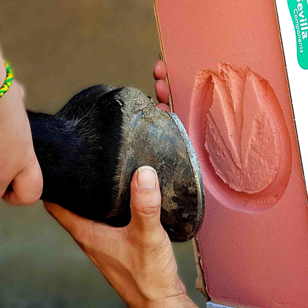 Take the perfect paw or hoof print for your gold animal charm - Jewellery for Dogs, Cats, Horses