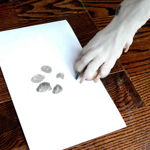 Take the perfect dog pawprint for your gold pawprint charm | Charm Bracelets | Sophia Alexander Fingerprint Jewellery | Handmade in Suffolk UK