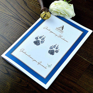 Instructions for taking perfect pawprint for your gold pet print necklace | How to make paw print Jewellery | Personalised Necklaces | Sophia Alexander Fingerprint Jewellery | Handmade in Suffolk UK
