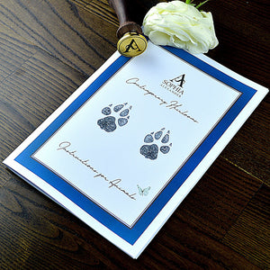 Instructions for taking perfect paw prints for your gold pawprint necklace | How to make dog and cat print Jewellery | Personalised Necklaces | Sophia Alexander Fingerprint Jewellery | Handmade in Suffolk UK