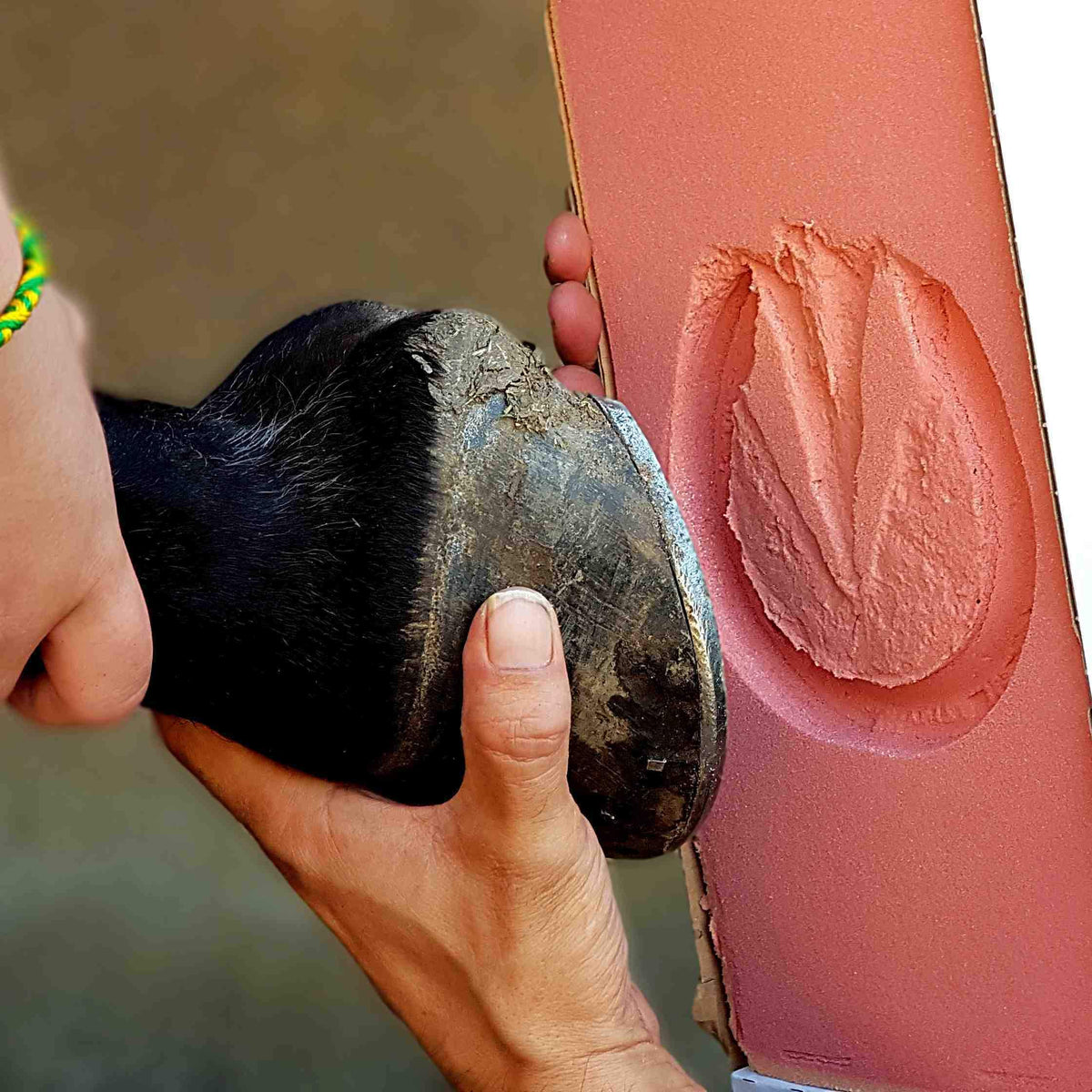 Take the perfect hoof print for your gold horse or pony print necklace | Personalised Equine Necklaces | Sophia Alexander Fingerprint Jewellery | Handmade in Suffolk UK